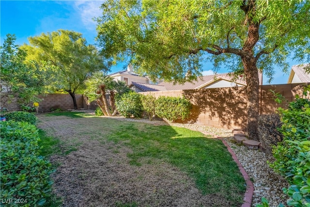 view of yard with a fenced backyard