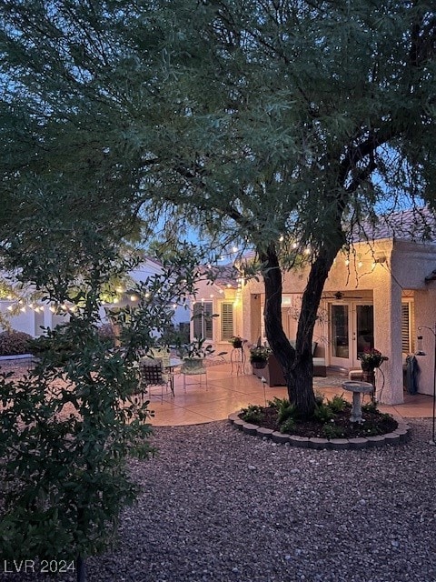 view of yard with a patio