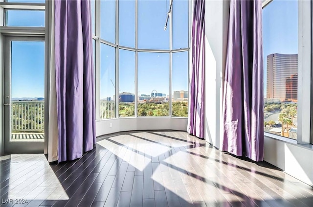 unfurnished room with dark wood-type flooring