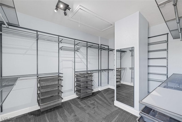 spacious closet with dark colored carpet