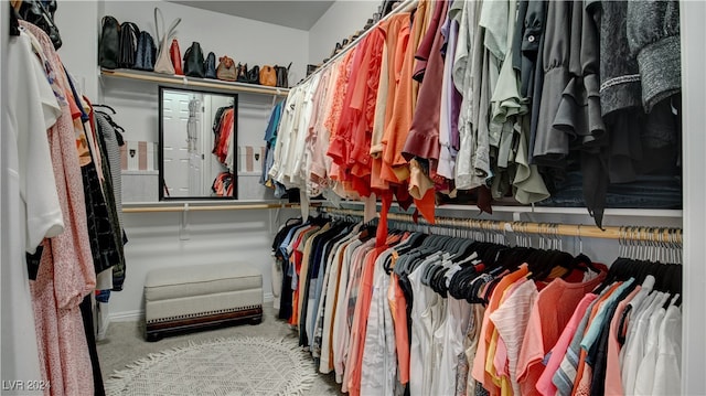 spacious closet with carpet