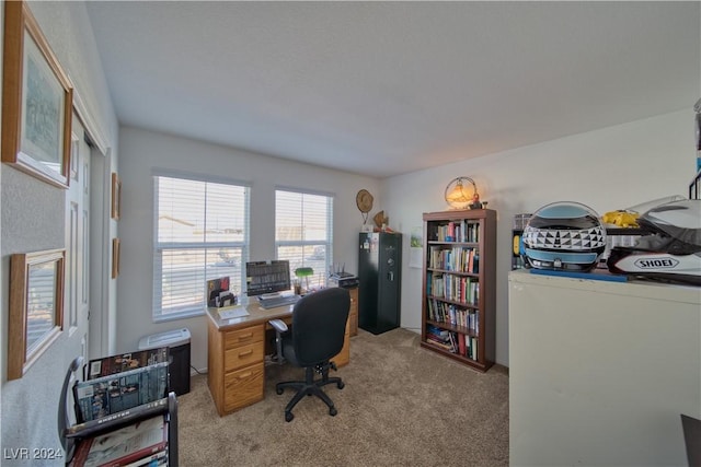 office area with light colored carpet