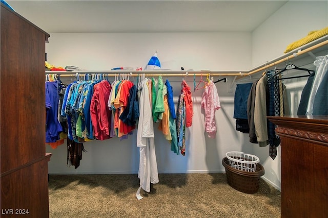 walk in closet with carpet flooring