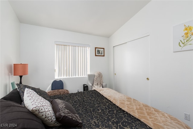 bedroom featuring a closet and lofted ceiling