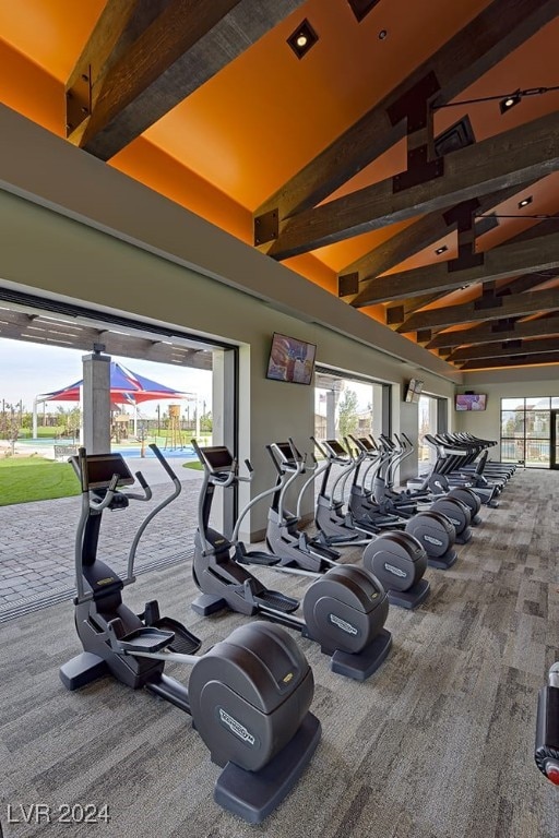 exercise room featuring high vaulted ceiling