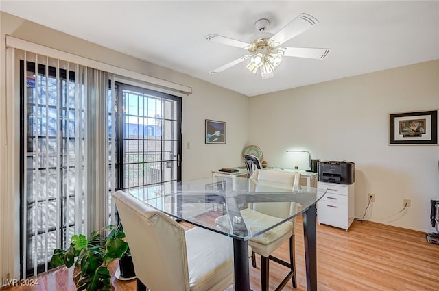 dining room with ceiling fan and light wood-type flooring