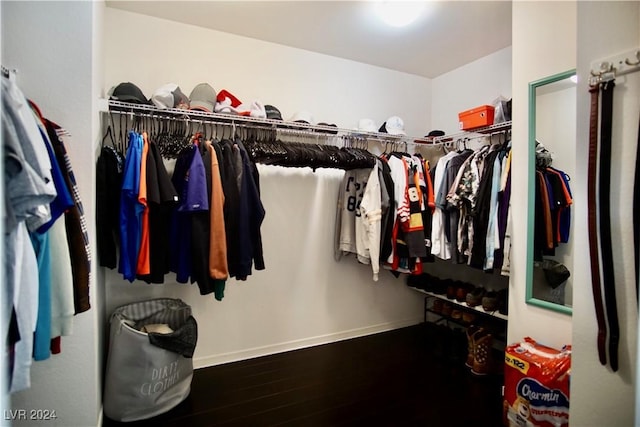 walk in closet featuring hardwood / wood-style flooring