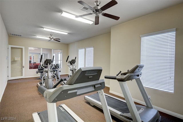 workout room with ceiling fan and carpet floors