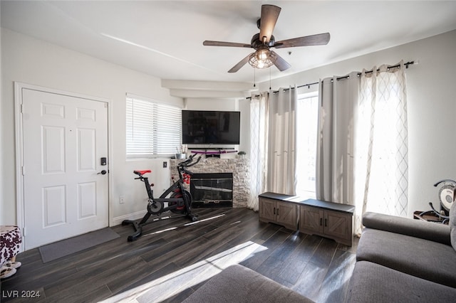 living room with a fireplace, dark hardwood / wood-style flooring, and a wealth of natural light