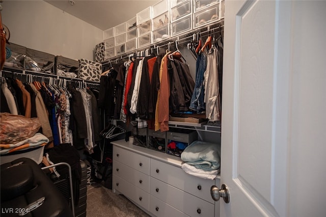 spacious closet featuring carpet flooring