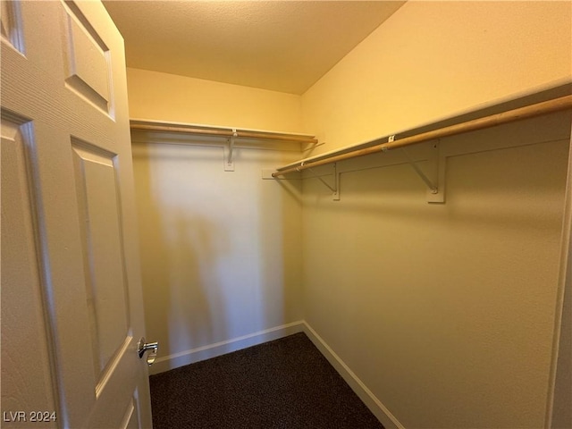 spacious closet featuring dark colored carpet