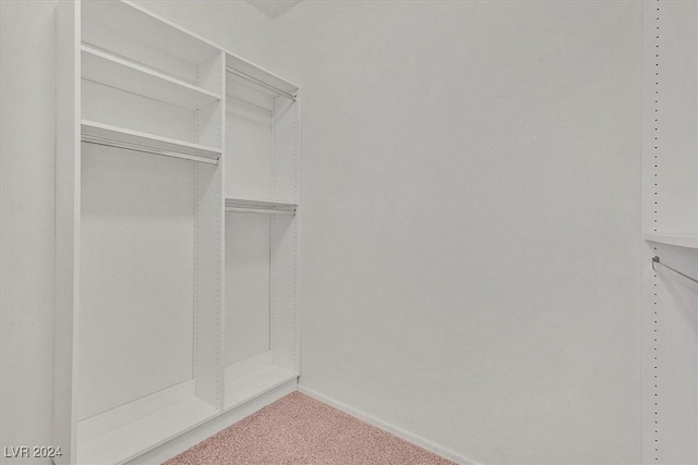 spacious closet with carpet flooring