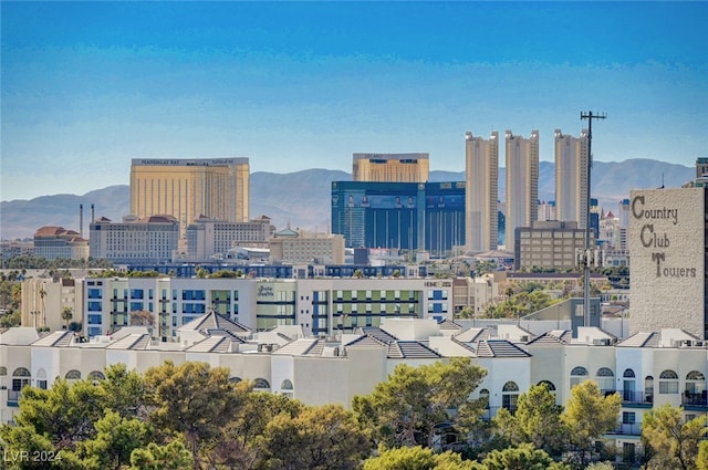 city view with a mountain view