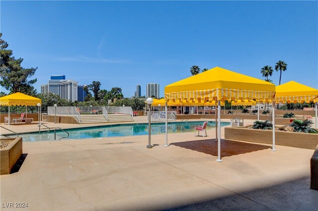 view of pool with a patio area