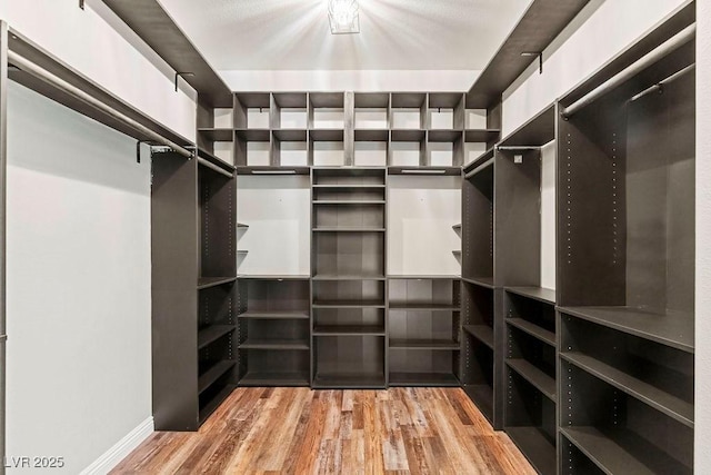 walk in closet featuring hardwood / wood-style floors