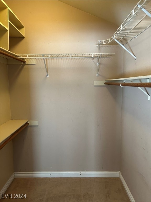 walk in closet with carpet floors