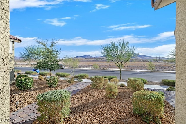 view of yard with a mountain view