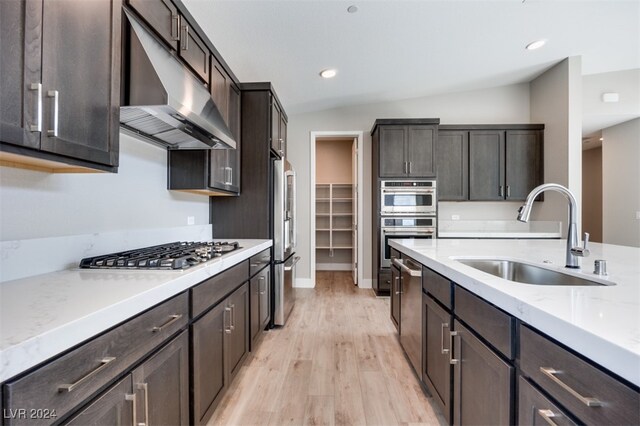 kitchen featuring vaulted ceiling, appliances with stainless steel finishes, sink, dark brown cabinetry, and light hardwood / wood-style flooring