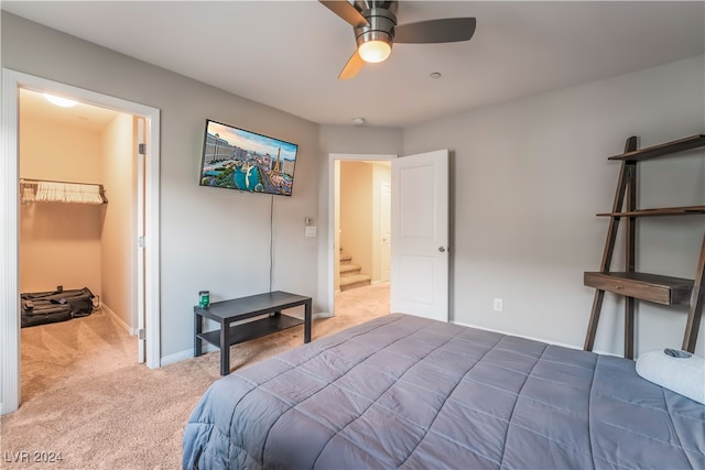 carpeted bedroom with ceiling fan, a spacious closet, and a closet