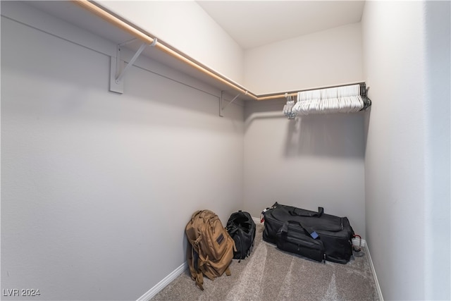 walk in closet featuring carpet flooring