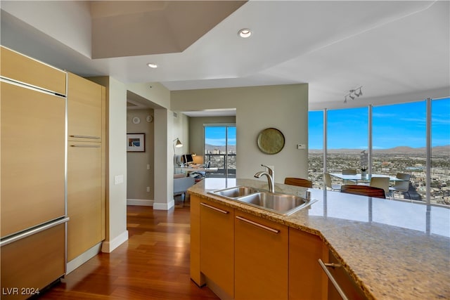 kitchen featuring dark hardwood / wood-style floors and sink