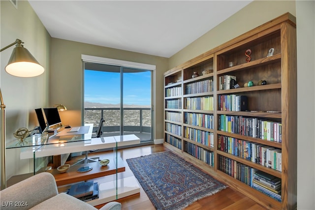 office with wood-type flooring