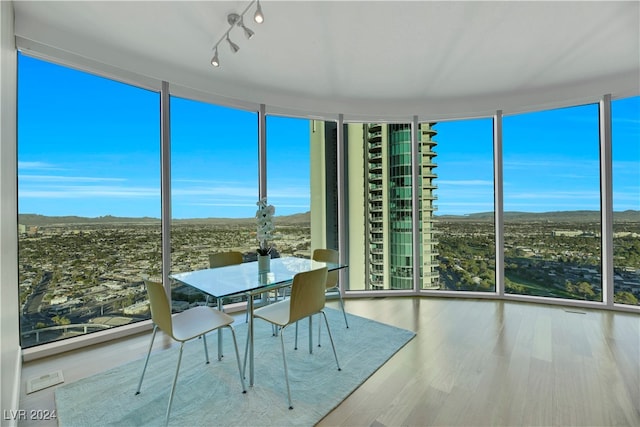 unfurnished sunroom featuring plenty of natural light and rail lighting