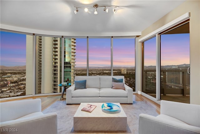 living room with floor to ceiling windows and light wood-type flooring