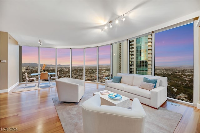 living room featuring light hardwood / wood-style floors and floor to ceiling windows