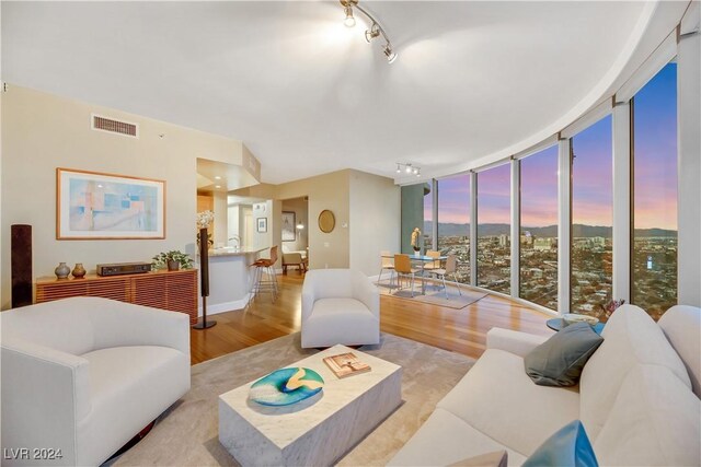 living room with light wood-type flooring and expansive windows