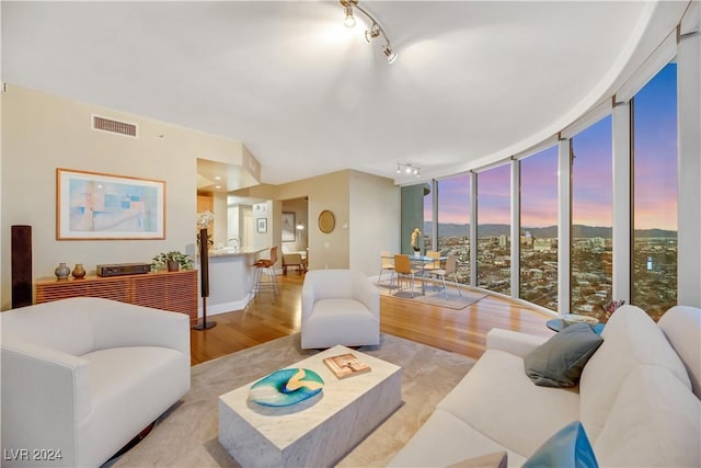 living room with rail lighting, light hardwood / wood-style floors, and floor to ceiling windows