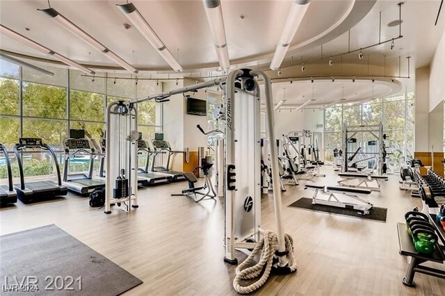 gym with hardwood / wood-style floors, rail lighting, and expansive windows