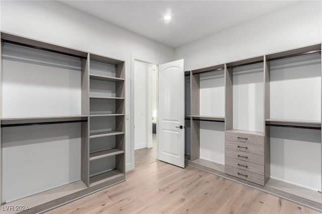 walk in closet with light wood-type flooring