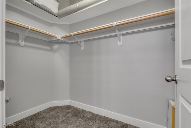 spacious closet with carpet flooring