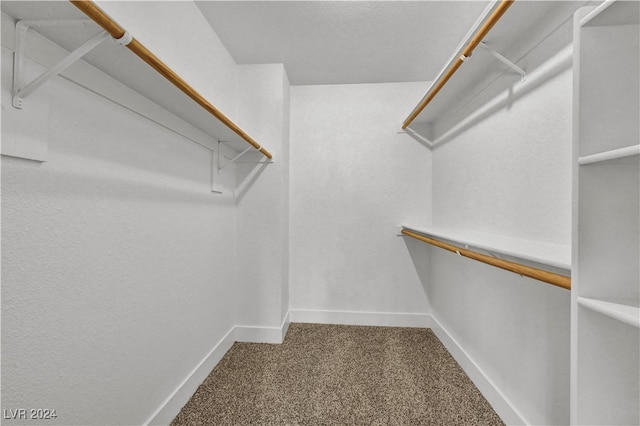 walk in closet with carpet