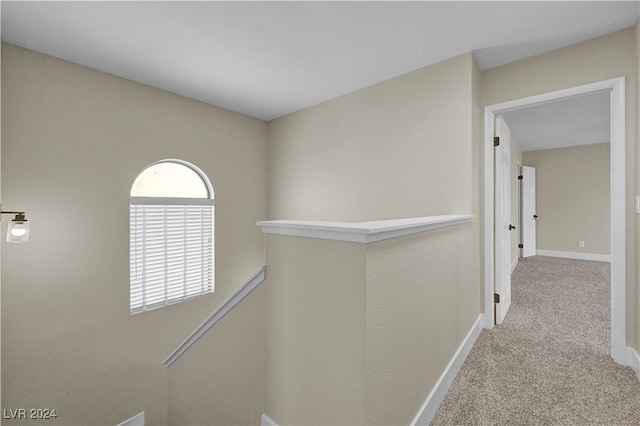 hallway featuring carpet floors