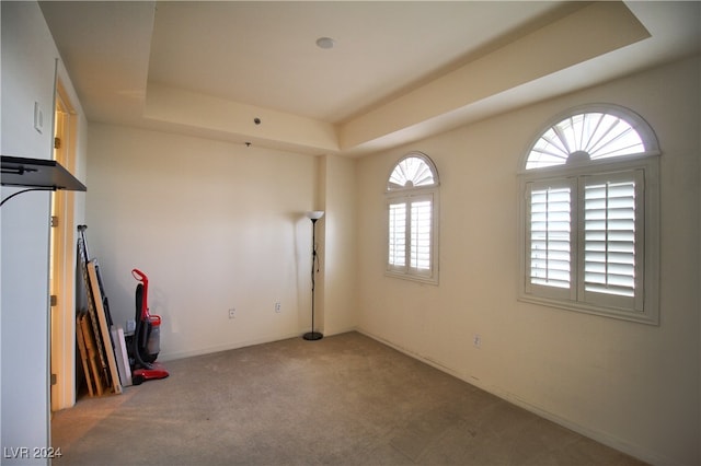 unfurnished room featuring carpet and a raised ceiling