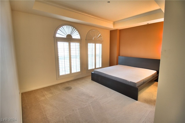 carpeted bedroom with a raised ceiling and ornamental molding