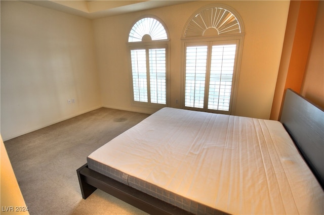 bedroom featuring carpet