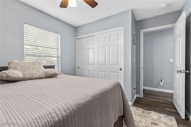 bedroom featuring a closet, ceiling fan, and dark wood-type flooring