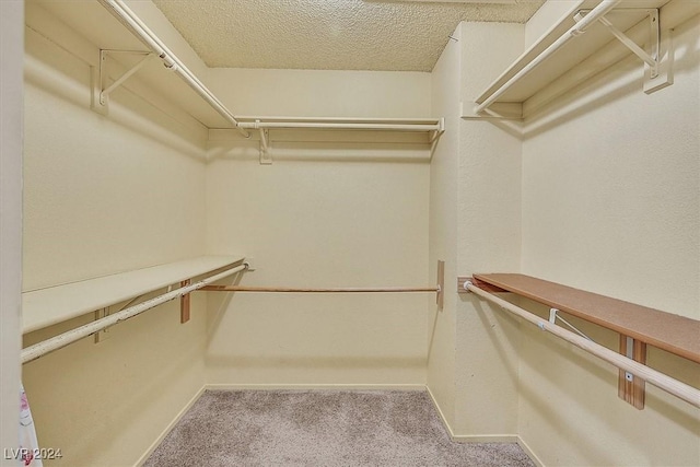 walk in closet with light carpet