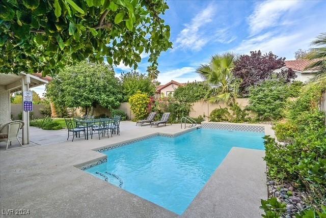 view of swimming pool with a patio area