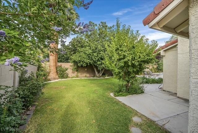 view of yard with a patio