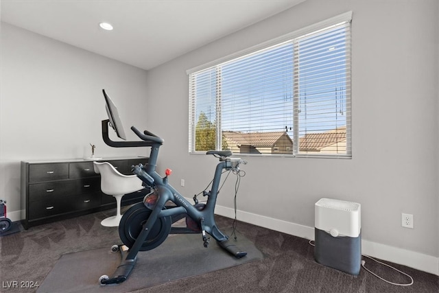 exercise area with dark colored carpet