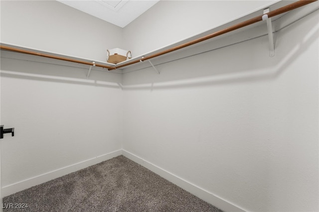 spacious closet featuring carpet flooring