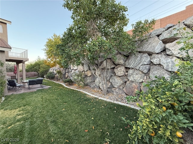 view of yard with a patio