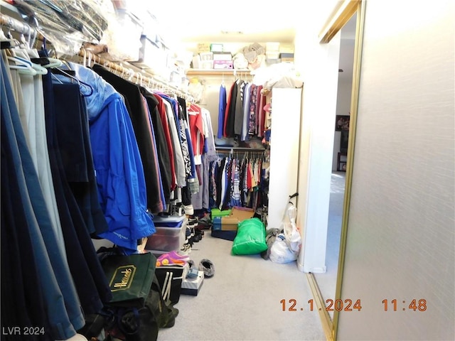 walk in closet featuring carpet