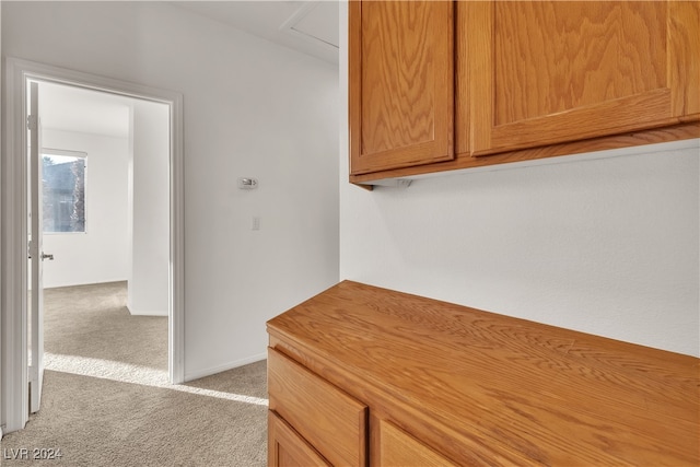 hallway with light carpet