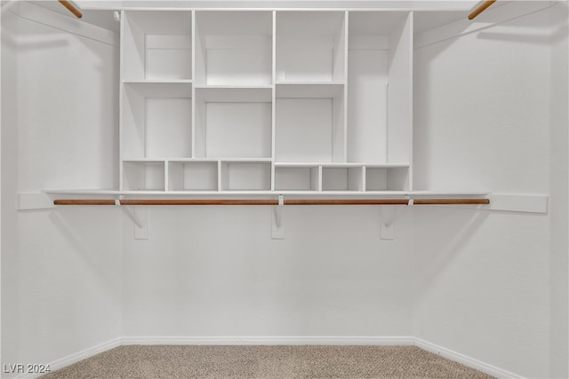 spacious closet with carpet flooring