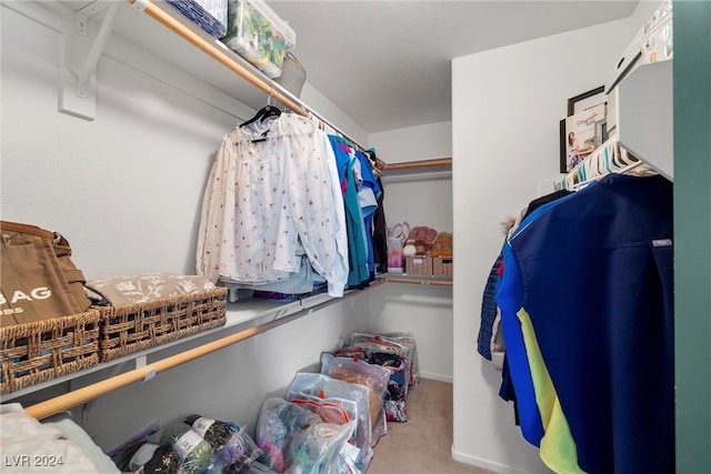 spacious closet featuring carpet